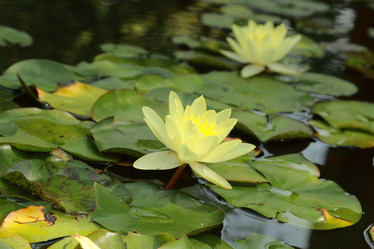 Similar image 11287468