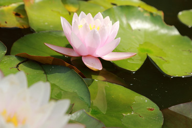 Similar image 11317379