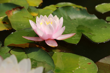 Similar image 11317381