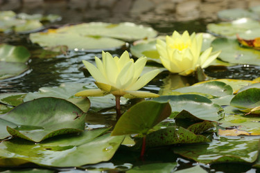 Similar image 11317384