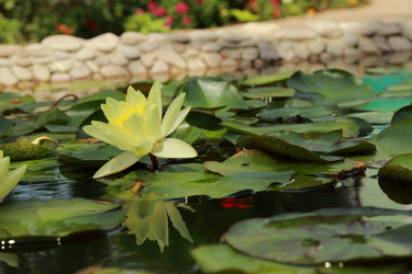 Similar image 11317387