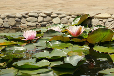 Similar image 11317642