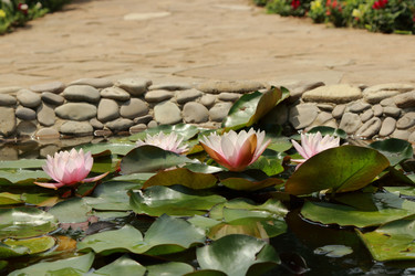 Similar image 11317648