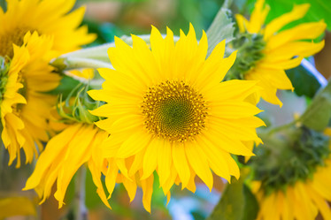 Similar image 11172388