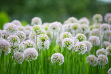 Similar image 11172390