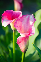 Similar image 11172392