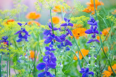 Similar image 11174233