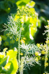 Similar image 11174236