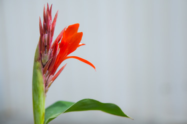 Similar image 11174238