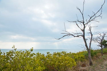 Similar image 11174247