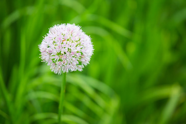 Similar image 11174251