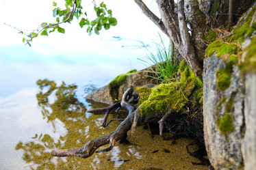 Similar image 11174253