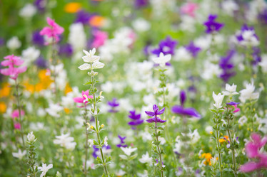 Similar image 11174255