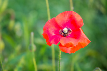 Similar image 11174257