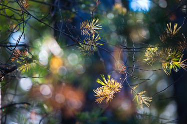 Similar image 11172438