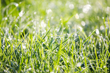 Similar image 11172442