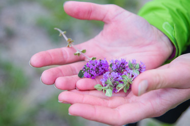 Similar image 11172444