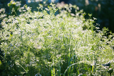 Similar image 11172447