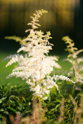 Similar image 11172449