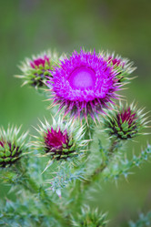 Similar image 11172451