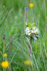 Similar image 11172454