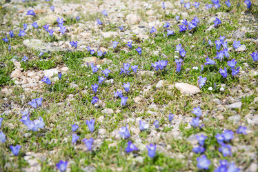 Similar image 11172456