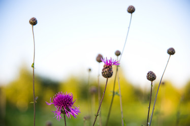 Similar image 11172459