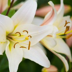 Similar image 11172463