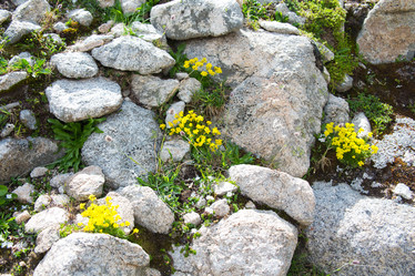 Similar image 11172465