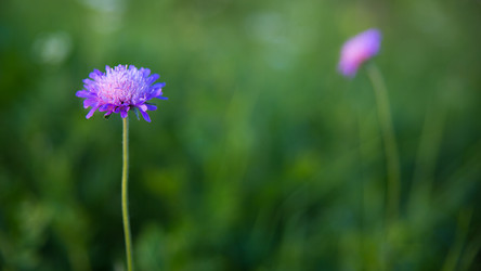 Similar image 11172468