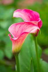 Similar image 11172472