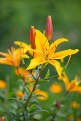 Similar image 11172475