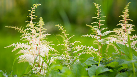 Similar image 11172481