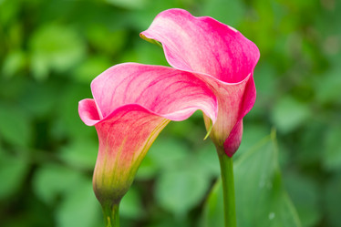 Similar image 11174274