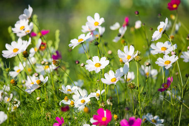 Similar image 11174277