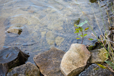 Similar image 11174279