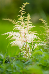 Similar image 11174282