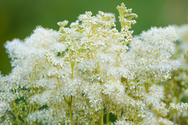 Similar image 11174286