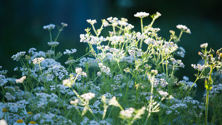 Similar image 11174301