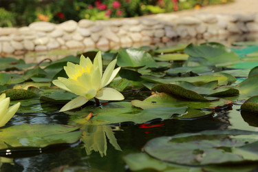 Similar image 11318372