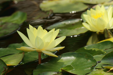 Similar image 11318374