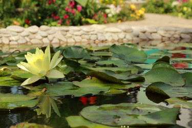 Similar image 11318385