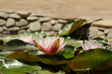 Similar image 11318387