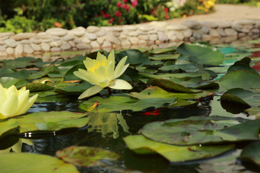 Similar image 11318637