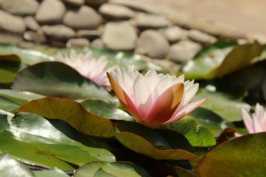 Similar image 11318639