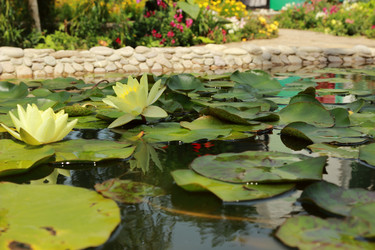 Similar image 11318642