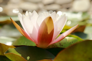 Similar image 11318645