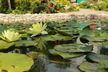 Similar image 11318647