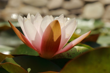 Similar image 11318649