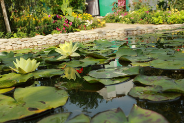 Similar image 11318657